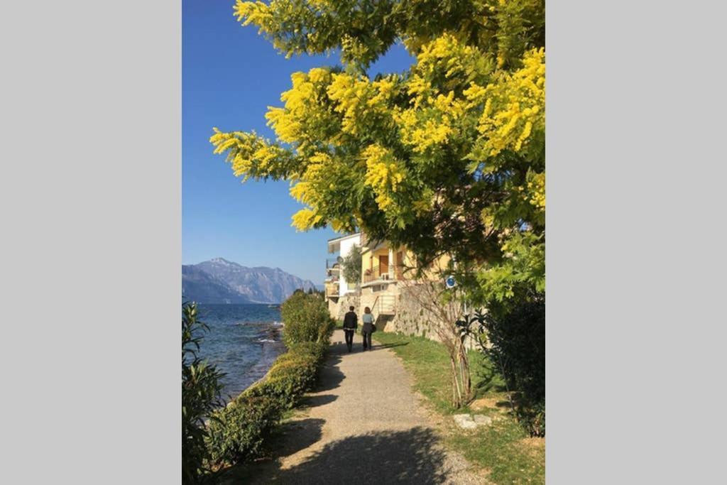 Villa Francesca-Grande Appartamento In Riva Al Lago Brenzone sul Garda Bagian luar foto